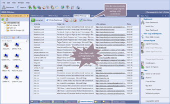 View employee's Internet history in real time